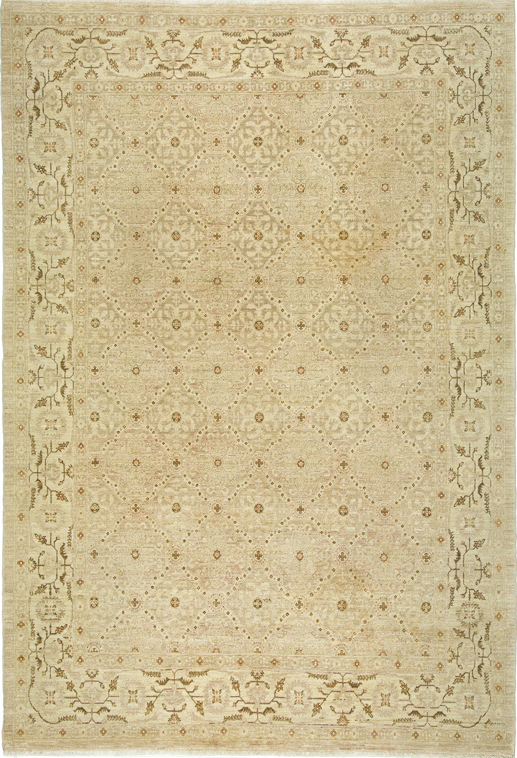 6'x9' Pakistan Transitional Wool (#8473)