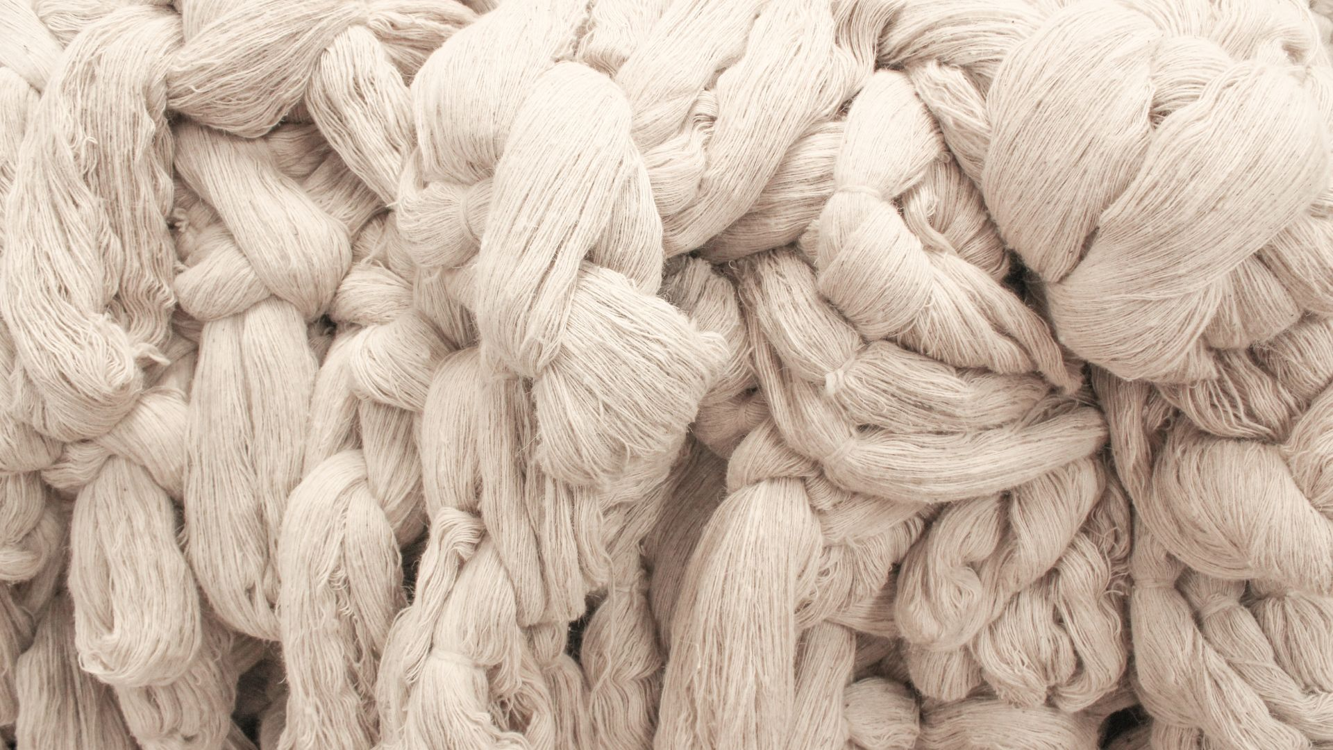 Browse Rugs
