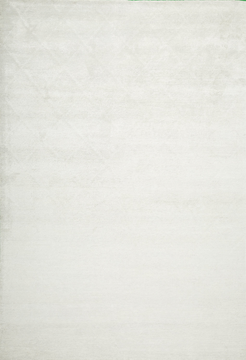 6'3"x8'11" Indian Modern Bamboo Silk (#40692)