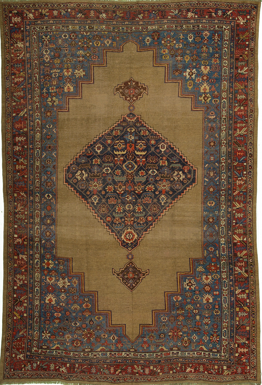 8'x10' Persian Traditional Wool (#6425)